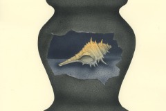 55269857deaa7dbad8ac2af7d26782e3