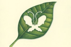 971818022f221dde46eb07806daabbdb