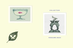 9b0926cea44cc983a363c66bf8d70e4e